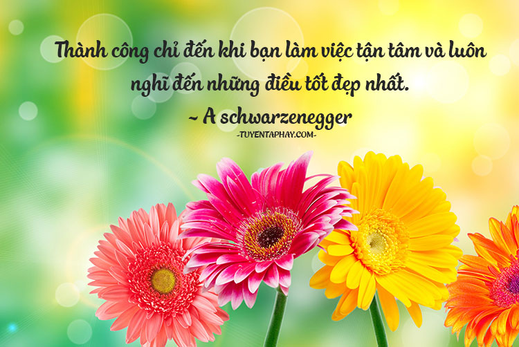 Ngày 13/11/2018, Cục Thuế TP Hà Nội đã có công văn số 75606/CT-TTHT